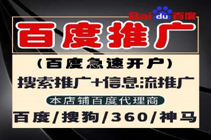 SEM托管公司案例分析：实战技巧全解析